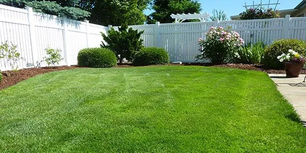 lawn
